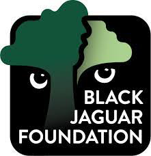 jaguar_black.png