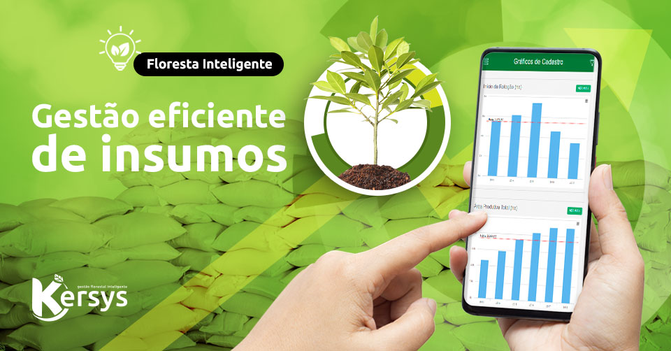 Gestão de insumos florestais eficiente: como promover?