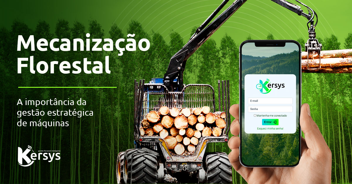 Mecanização florestal: a importância da gestão estratégica de máquinas