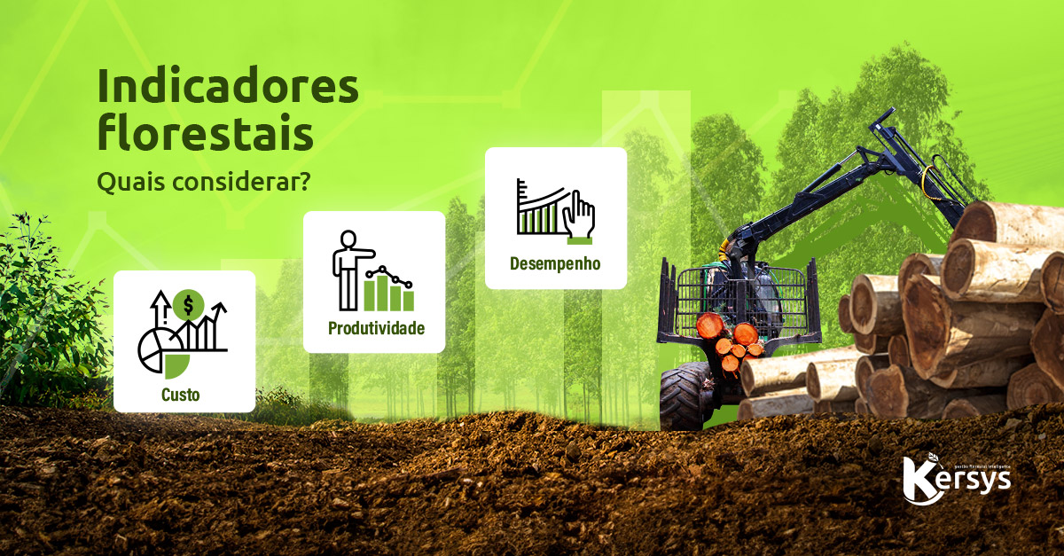 Indicadores de produtividade florestal: quais considerar?