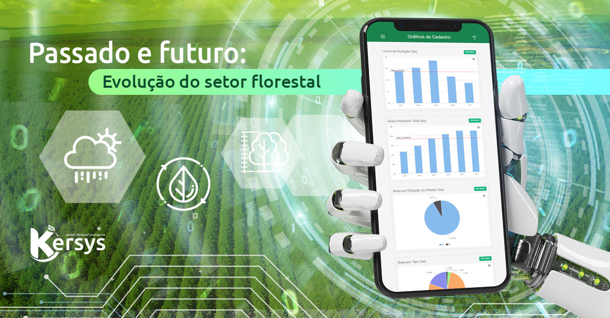 Mercado florestal: passado, futuro e a evolução do setor florestal