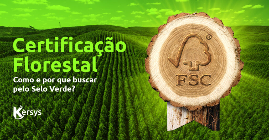 Certificação Florestal: entenda como funciona os processos e quais os benefícios de conquistar o Selo Verde