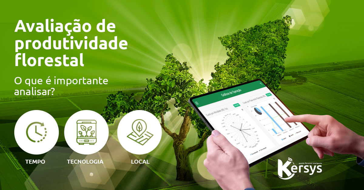 Avaliação de produtividade florestal: o que é importante analisar?