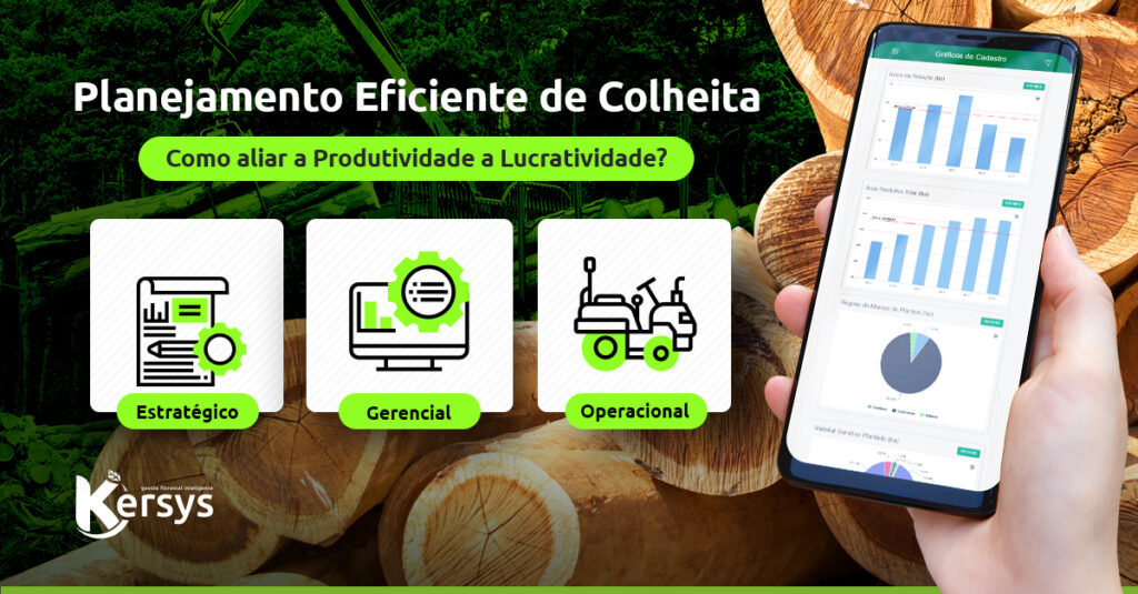 Colheita florestal: como fazer um planejamento eficiente?