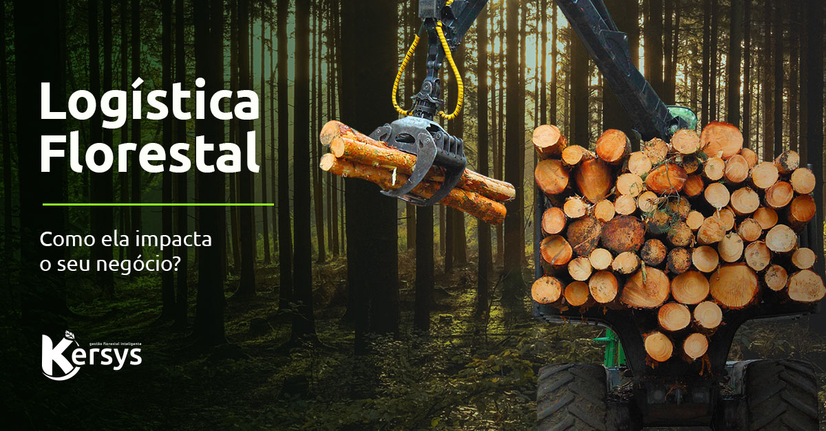 Logística florestal: qual o impacto dessa etapa na sua empresa?