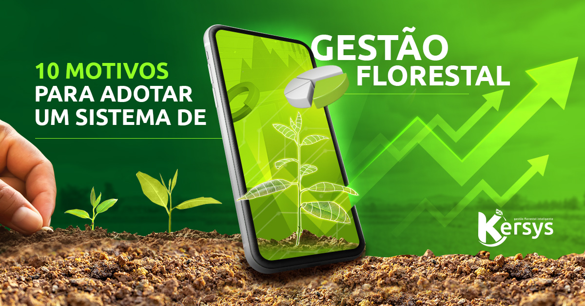 10 motivos para você adotar um sistema de gestão florestal