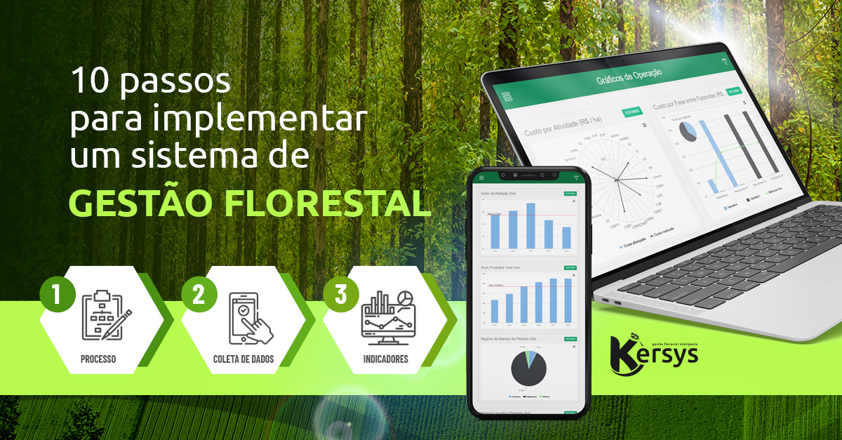 10 passos para implementar um sistema de empresa de gestão florestal