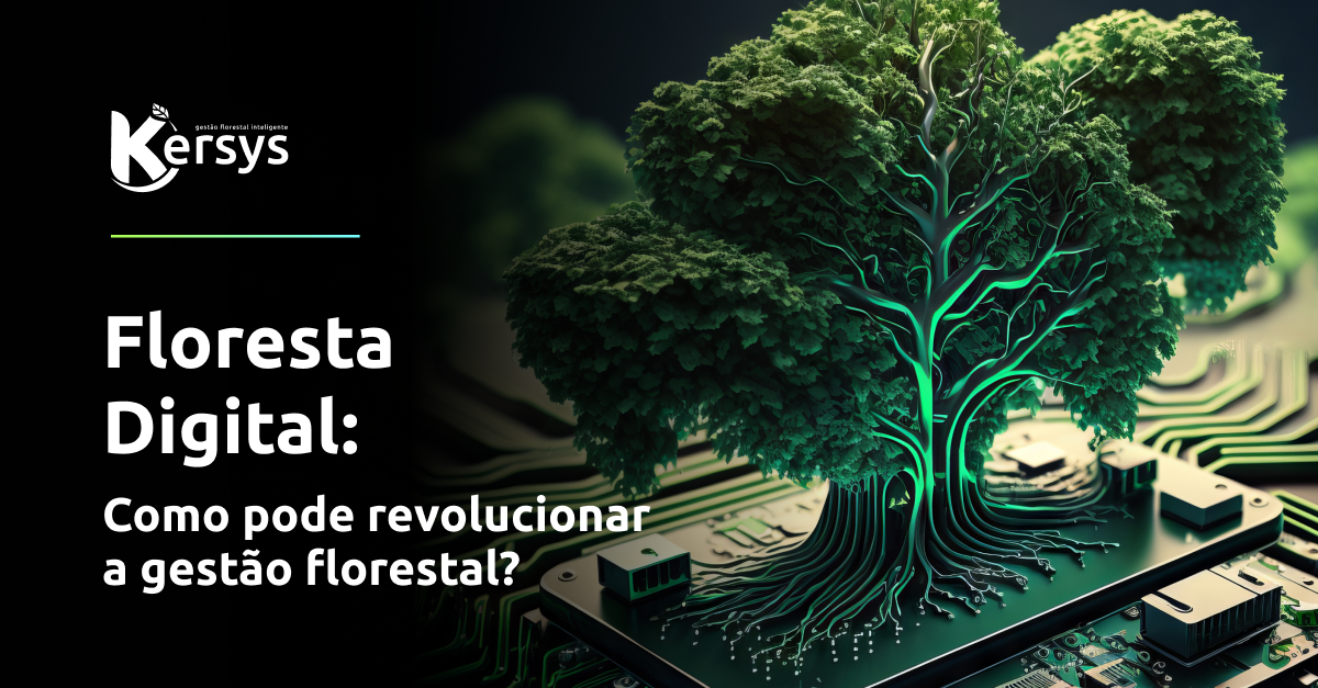 Floresta digital: como pode revolucionar a gestão florestal?