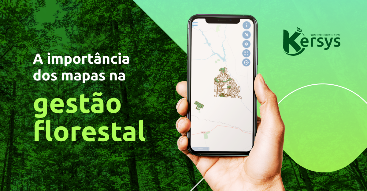 Qual a importância dos mapas na gestão florestal e o que oferecem?