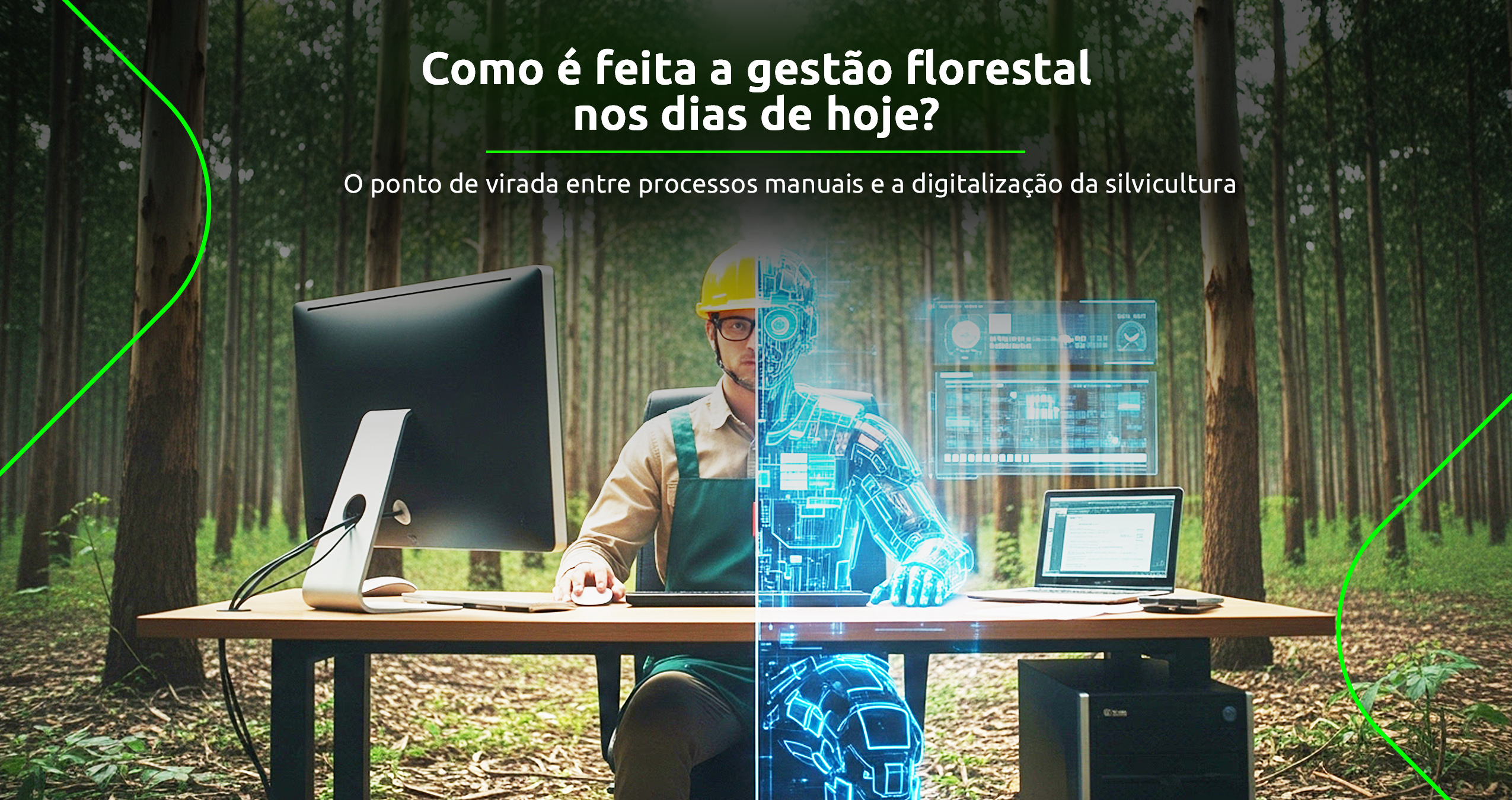 Como é feita a gestão florestal nos dias de hoje?